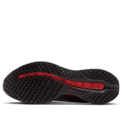 Nike Pegasus Premium - Mousse Mémoire Forme Adaptation Morphologie Pied