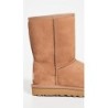 UGG Classic Short II 1016223 | Style Branché
